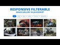 Responsive Filterable Image Gallery using HTML CSS & JavaScript