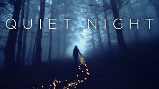 Quiet Night | Deep Chill Music Mix
