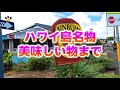 【ハワイ島】名物ガイドが集結！ハワイ観光局主催の無料バーチャルツアー《ハワイ島6人で同時多発ライブ中継》予約日迫る！