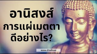 #ธรรมะล้างกิเลส อานิสงส์การแผ่เมตตาดีอย่างไร?