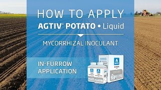 AGTIV POTATO Liquid  /  IN-FURROW APPLICATION