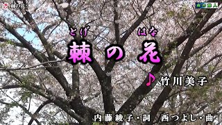 竹川美子【棘の花】カラオケ