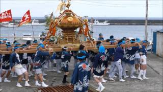 2397千倉祭礼・南千倉熊野神社の神輿が千倉港を出発し会場へ。H28ckr04