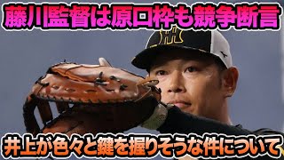 【藤川監督が原口枠も競争断言】井上がマジで色々と鍵を握りそうな件について.. 2025年の超最新ファースト序列問題を徹底解説【阪神タイガース】