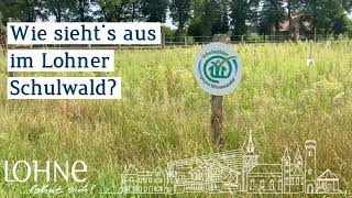 Entdeckungsreise in den Schulwald des Bürger-Klimaparks in Lohne