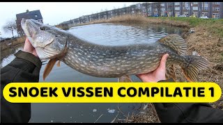 Pike fishing compilation #1 (English subtitles)