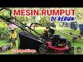 MESIN RUMPUT DI KEBUN | CARA PENGENDALIANNYA