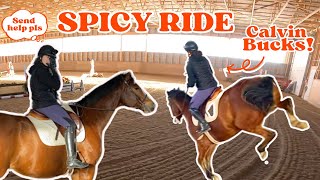 SPICY RIDE ON CALVIN | Bucking, Crow Hopping \u0026 More!