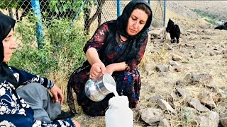 A women's village life. Goat milking, making buttermilk and cheese, etc. Village Routines