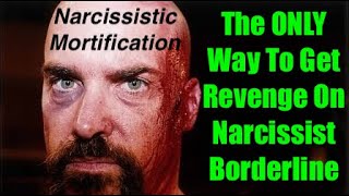 The ONLY WAY TO GET REVENGE ON YOUR NARCISSIST BORDERLINE - BPD NPD - WATCH ENTIRE VIDEO!