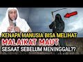 Inilah Alasan Kenapa Manusia Melihat Malaikat Maut Sebelum Dia Mencabut Nyawanya?