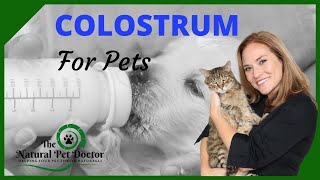 Colostrum for Dogs and Cats with Dr. Katie Woodley - The Natural Pet Doctor