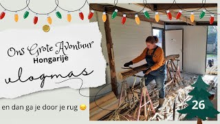 Boomstammen fileren - dit is NIET oké | wonen in Hongarije | vlogmas “24” #26