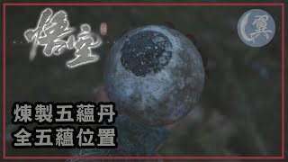 煉製五蘊丹! 全五蘊位置! - Black Myth: Wukong 黑神話：悟空