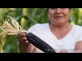 seed stories maiz morado beloved corn of peru