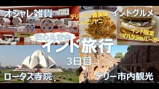 【インド旅行】デリー観光｜デリーで1番美味しいビリヤニ｜インド限定マハラジャバーガー｜ロータス寺院｜天文台｜階段井戸｜デリー2泊4日旅行3日目！