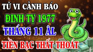 Vận Trình Tháng 11 Âm Lịch Tuổi ĐINH TỴ 1977 Cẩn Trọng Tiểu Nhân, Đề Phòng Sự Nghiệp Có Biến Cố