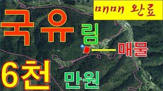 [매매완료]...감사합니다...횡성전원주택[매번 105], 횡성전원주택매매, 전원주택지, 청일면 국유림 50만평에 둘러싸인, 개울가 옆 토지 521평, 가격 6천만원