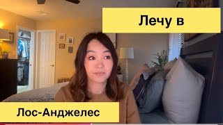 Увидеть  всё  своими глазами страшно|￼ муж про трампа|￼ подруга предатель#jasmineusa #сша