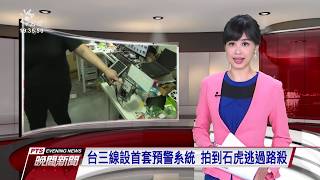 台三線設首套預警系統 拍到石虎逃過路殺 20190829 公視晚間新聞