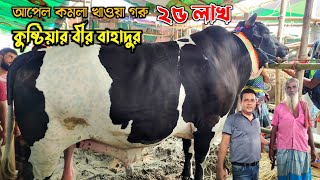 ১৯০০ কেজি ওজনের ২৫ লাখ টাকার গরু গাবতলীর মাঠে! কোরবানির গরু ২০২৪