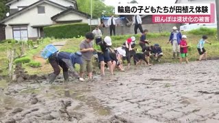 地震で凸凹だった田んぼを復旧し、毎年恒例だった子どもたちの田植え体験ができた (2024年4月30日)