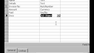 Microsoft Office Access 2000 O L E Object Data Type