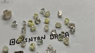 રફ હીરાની ખરીદી - Rough Diamonds Buying | Chintan Dhola