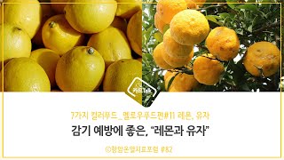 7가지 컬러푸드 #11 레몬, 유자(옐로우푸드의 효능) by항암온열치료포럼