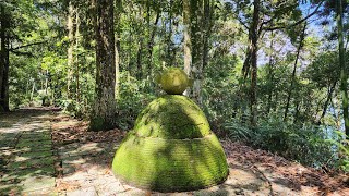 日月潭青龍山步道後段-連結玄光寺與玄奘寺