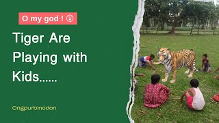 Tiger are playing with kids 🥰 Rangpur Binodon