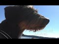 sailing dalslands canal sweden 2020 pt 1