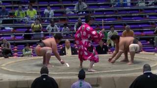 大相撲.2016.7.22/池川(ikegawa)- 鳩岡(hatooka) /nagoya Basho/day 13 #sumo