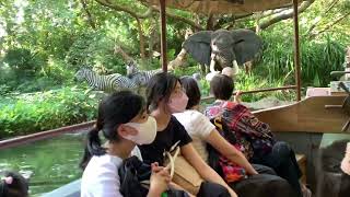 (中文) 香港迪迪士尼樂園 森林河流之旅Jungle River Cruise 🚢 Hong Kong Disneyland 11-11-2022