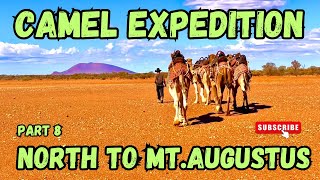 Camel Expedition Part 8. North to Mount Augustus.