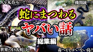 【総集編】蛇にまつわるヤバい話【閲覧注意】【巨大蛇・毒蛇の無人島・ヘビが丸呑みした特殊なものについてまとめ】【ゆっくり解説】【アナコンダ】【ニシキヘビ】【捕食】【スネークアイランド】