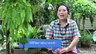 ปตท  คุ้งบางกะเจ้า ตอนที่ 4 วิถีชีวิตชาวคุ้งบางกระเจ้า