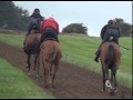 Middleham Racehorse Trainers