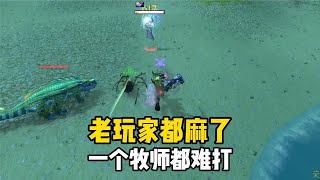 猎人打一个牧师都费劲 更别说再加一个骑士 魔兽世界巫妖王之怒