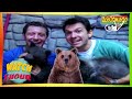 🐘 Zoboomafoo with the Kratt Brothers! HD | Full Episodes Compilation 🐘