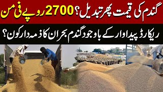 Wheat Price In Pakistan 2024 | Wheat Price Latest Update | New Rate List | Pakistan News