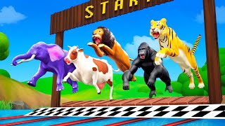 Zoo Animals Swimming Race - Elephant, Lion, Cow, Gorilla, Tiger, Fox | Funny Ani