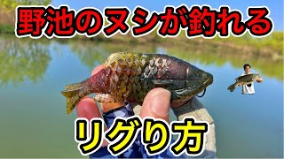 ギルフラットのデカバスが釣れるセッティング。淡路島の野池の主がコレで釣れました