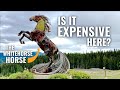 Prices in Whitehorse, Yukon, Northern Canada