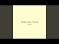 Fragile Ocean Tranquil