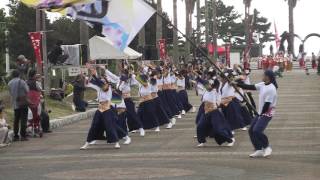 踊る阿呆 虎拍会（2016/11/6　第13回赤穂でえしょん祭り）