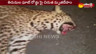 Cheetah Dies In Tirumala Ghat Road