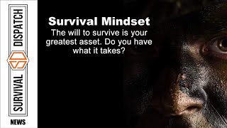 Master Your Mindset: How To Develop a \