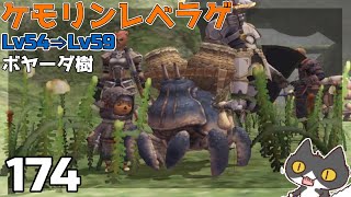 轟くFF11＿復帰プレイ174　獣使いレベル上げV Lv54⇒59