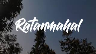 An AMAZING Day  |Ratanmahal Forest Ride with Bullet Couple Joel | Episode 1 (2017)